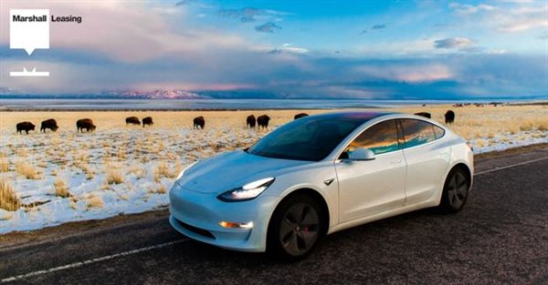 Fleet Uptake of Electric Vehicles on a Dramatic Rise