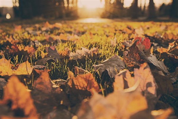 Autumn Statement - Salary Sacrifice changes and possible implications