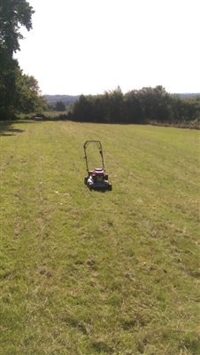One Man went to Mow