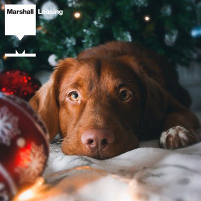 Merry Christmas from the Marshall Leasing family to yours