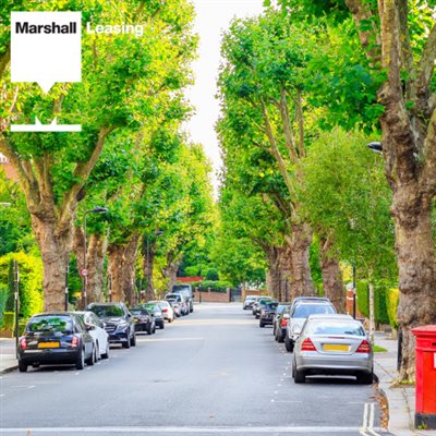 A national pavement parking prohibition could come into force 