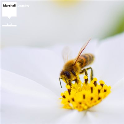 Are you drug-driving on your prescription hayfever medication?