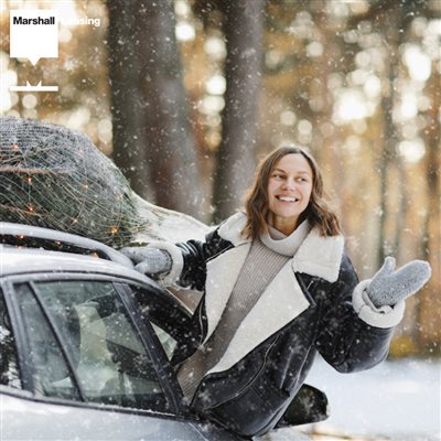 Helpful information about travelling abroad with your fleet vehicle